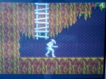 1 November 2009 - Sega Master System, Shadow of the Beast, in-game