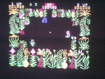 11 October 2009 - Commodore 64, Sabre Wulf, in-game