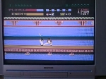 24 January 2009 - NES, Kung Fu