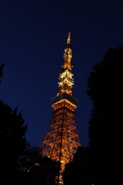 Day 3 - Tokyo Tower (from a distance)