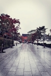 Day 6 - Fushimi Inari Shrine entrance