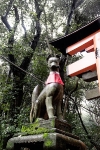 Day 6 - Fushimi Inari Shrine Fox