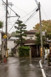 Day 6 - Backstreets near Fushimi Inari Shrine