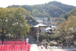 Day 4 - Takao Shrine!